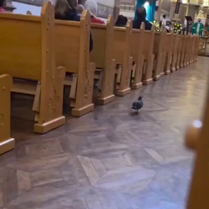Holy Spirit late to Mass joke