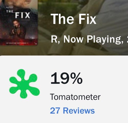 The Fix movie poster