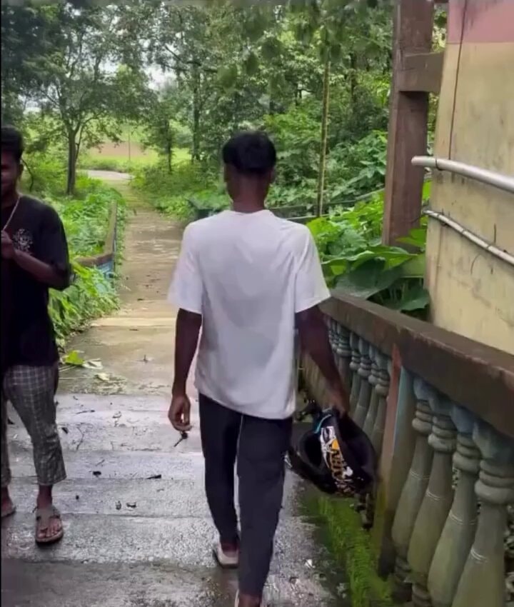 Casual walk in the park