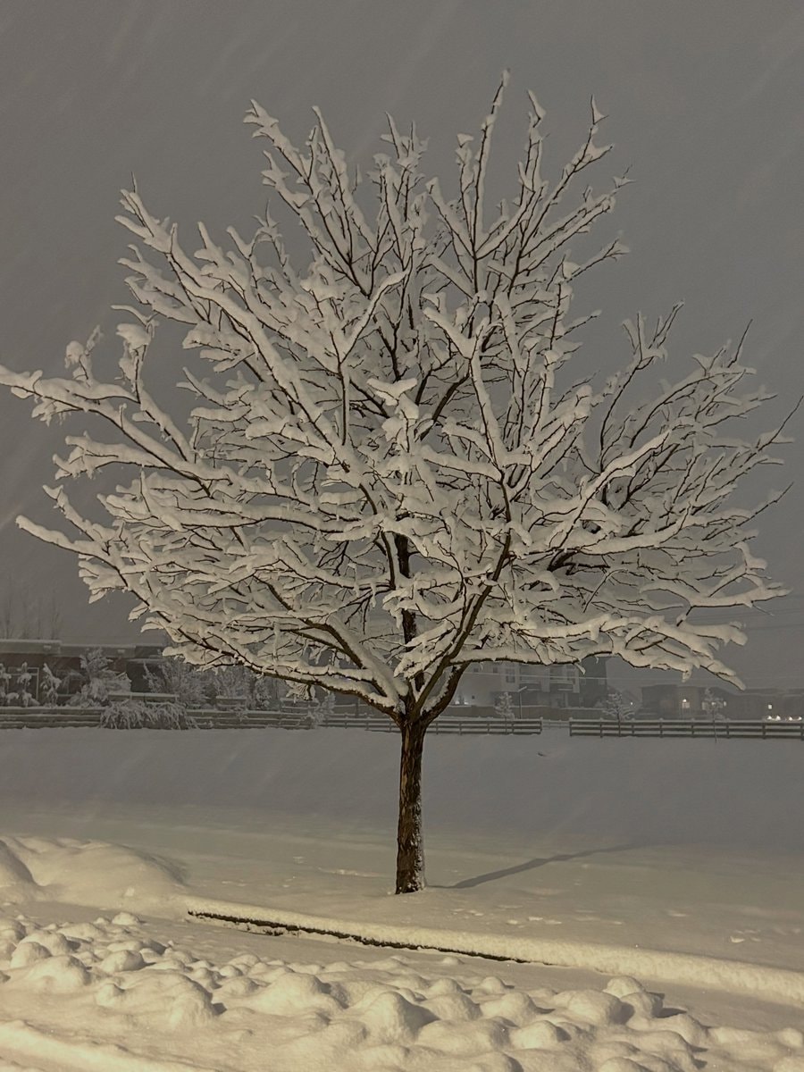 winter night (photo 3 of 4)
