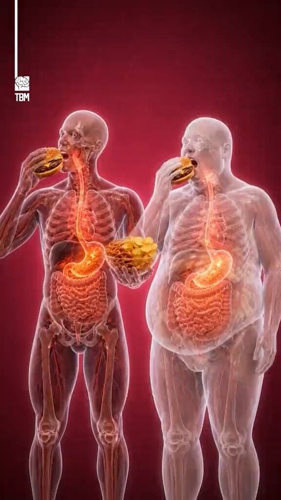 thebrainmaze metabolism