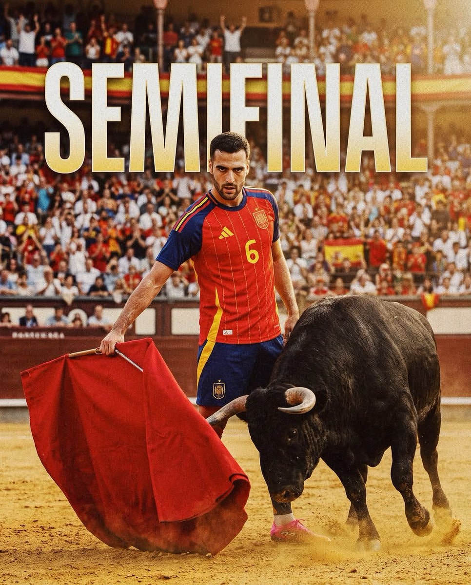 Spain semifinal Merino bull
