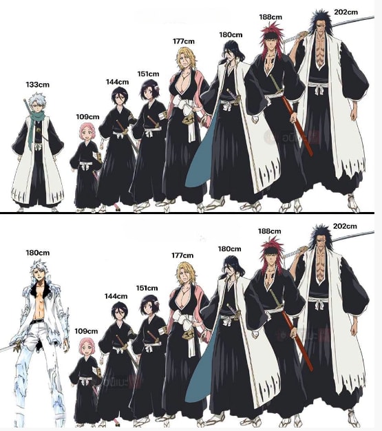 Bleach character height comparison