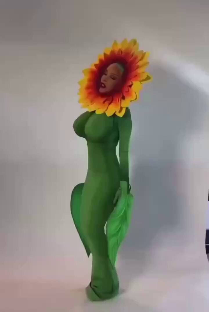 Post Malone She's My Sunflower