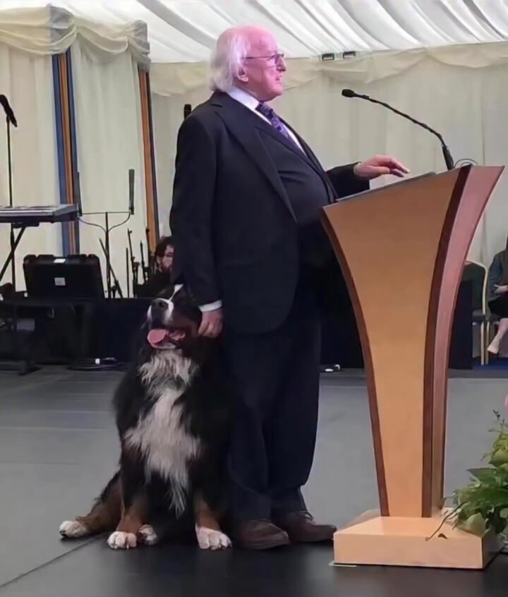 President of Ireland with his dog