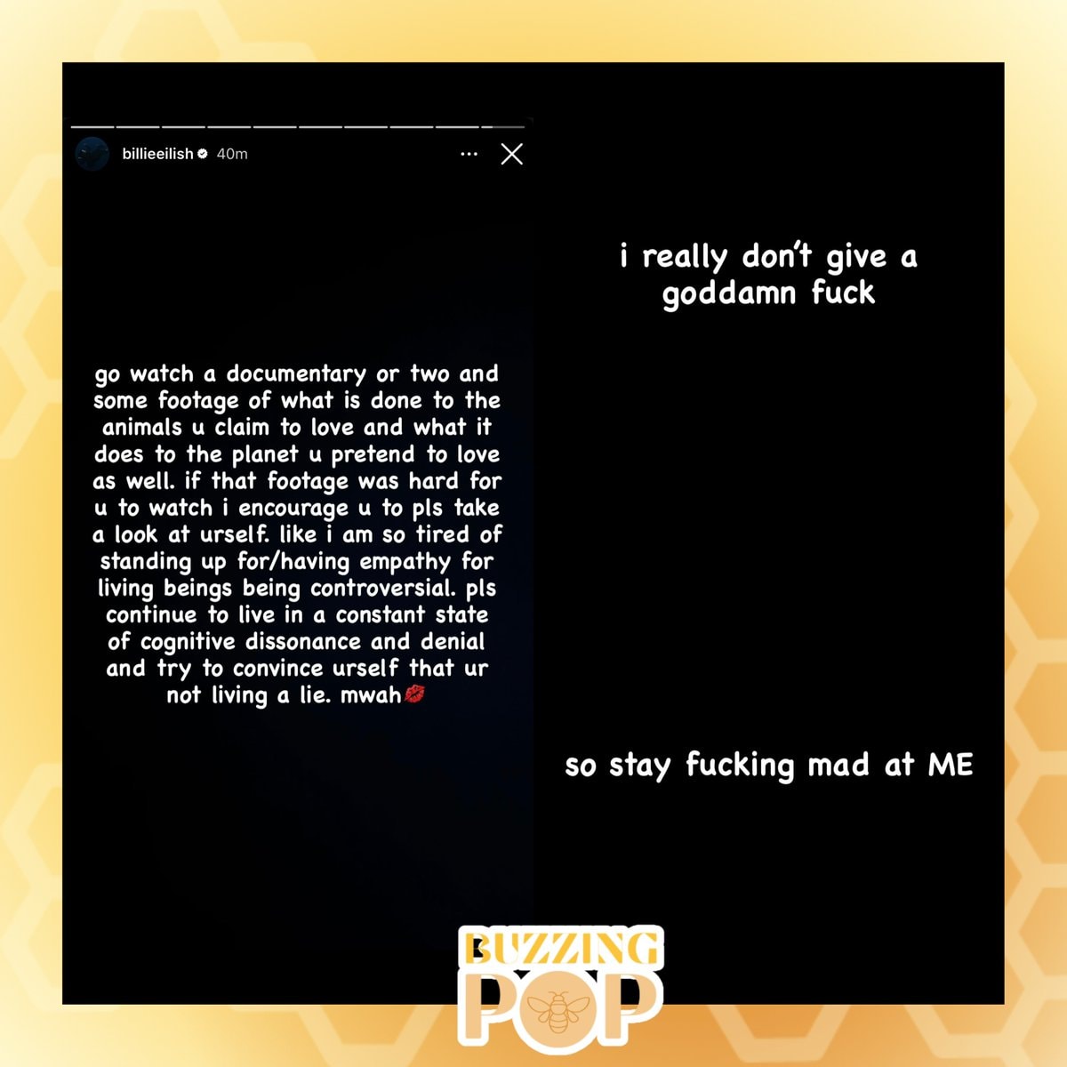 Billie Eilish Backlash Response (photo 2 of 2)