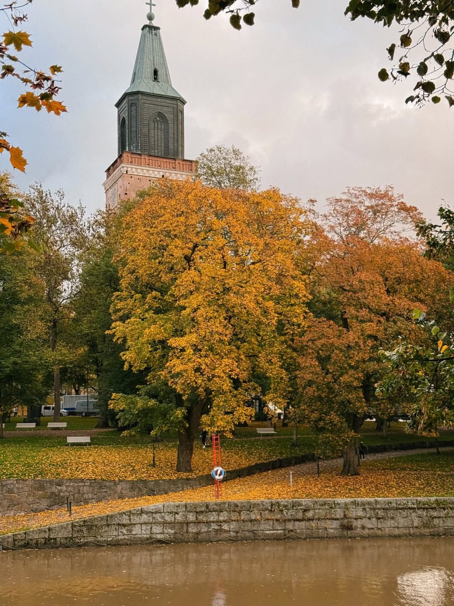 Autumn in Finland park