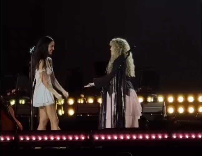 Olivia Rodrigo Stevie Nicks DaisyChainFields
