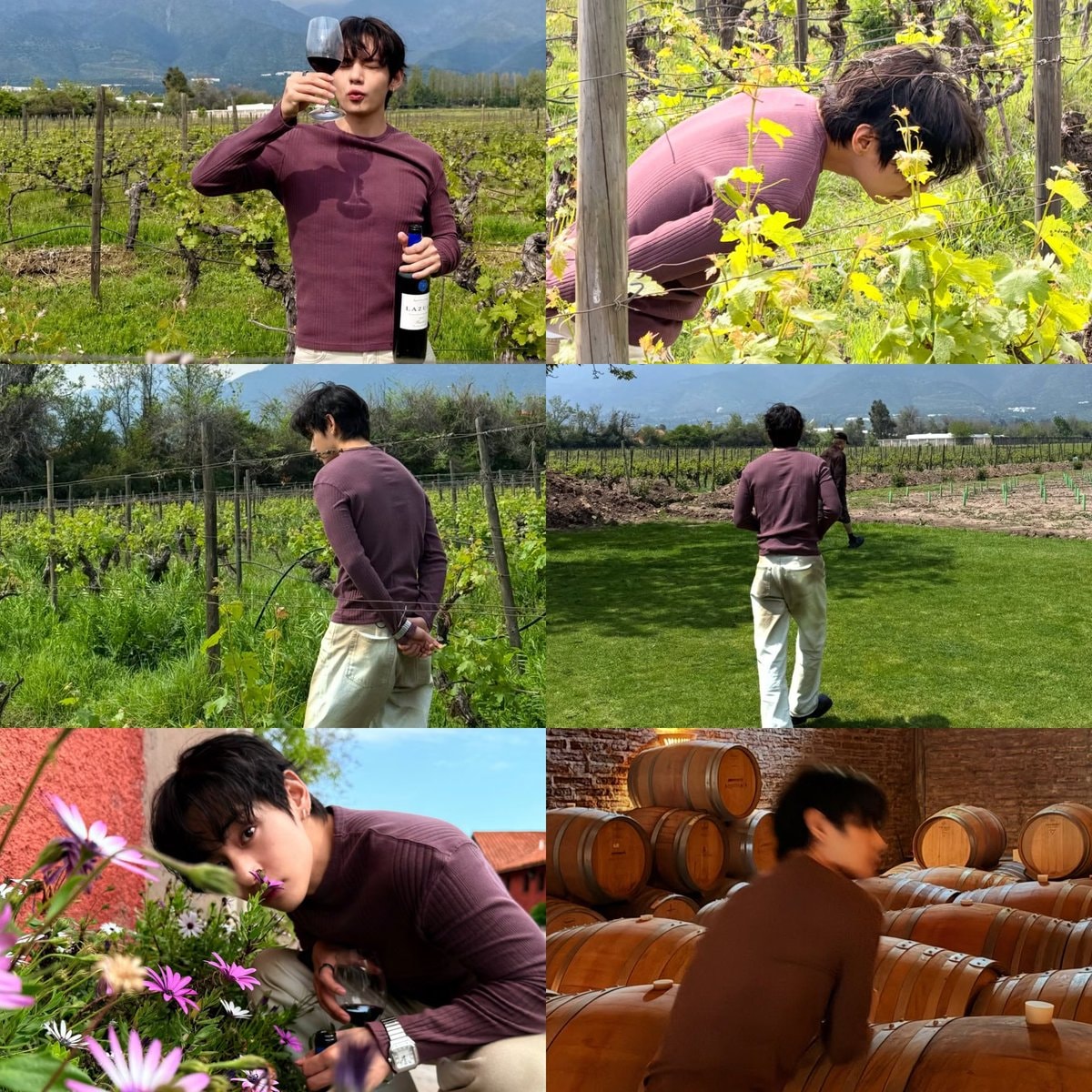 Taehyung vineyard photos