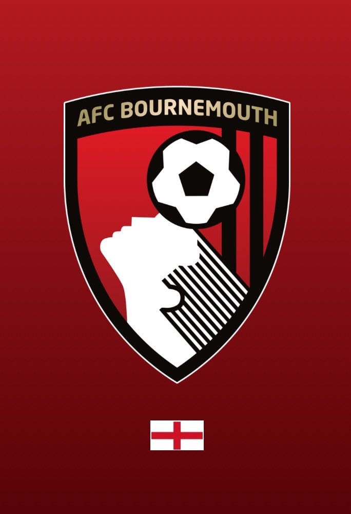 Evanilson AFC Bournemouth stats (photo 2 of 2)