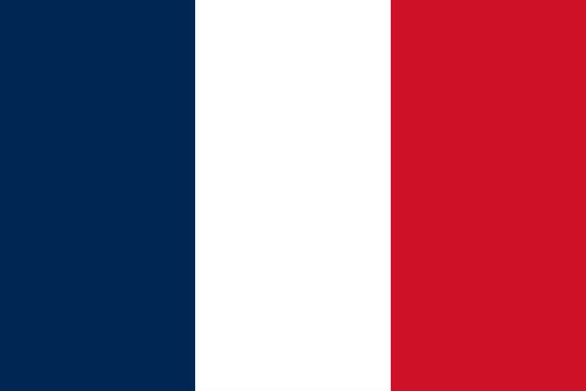 France World Cup 1-0 Paraguay quarterfinals (photo 1 of 2)