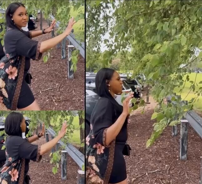 woman claims trees can understand us