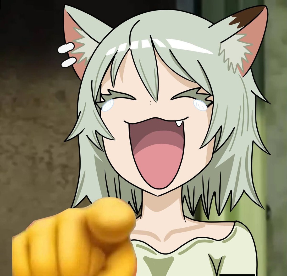 Anime cat shouting meme (photo 2 of 2)