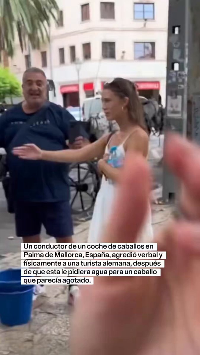 Palma de Mallorca carriage assault investigation