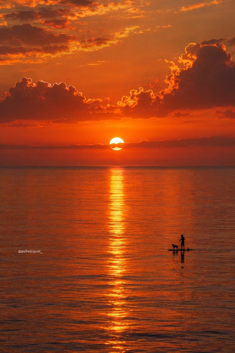 Sunset paddleboard silhouette
