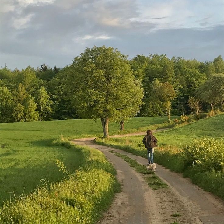 Two cyclists on country road (photo 2 of 4)