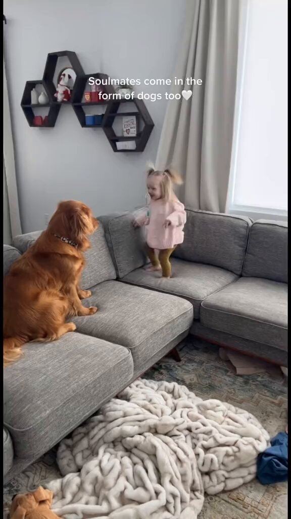 Golden retriever and child best friends
