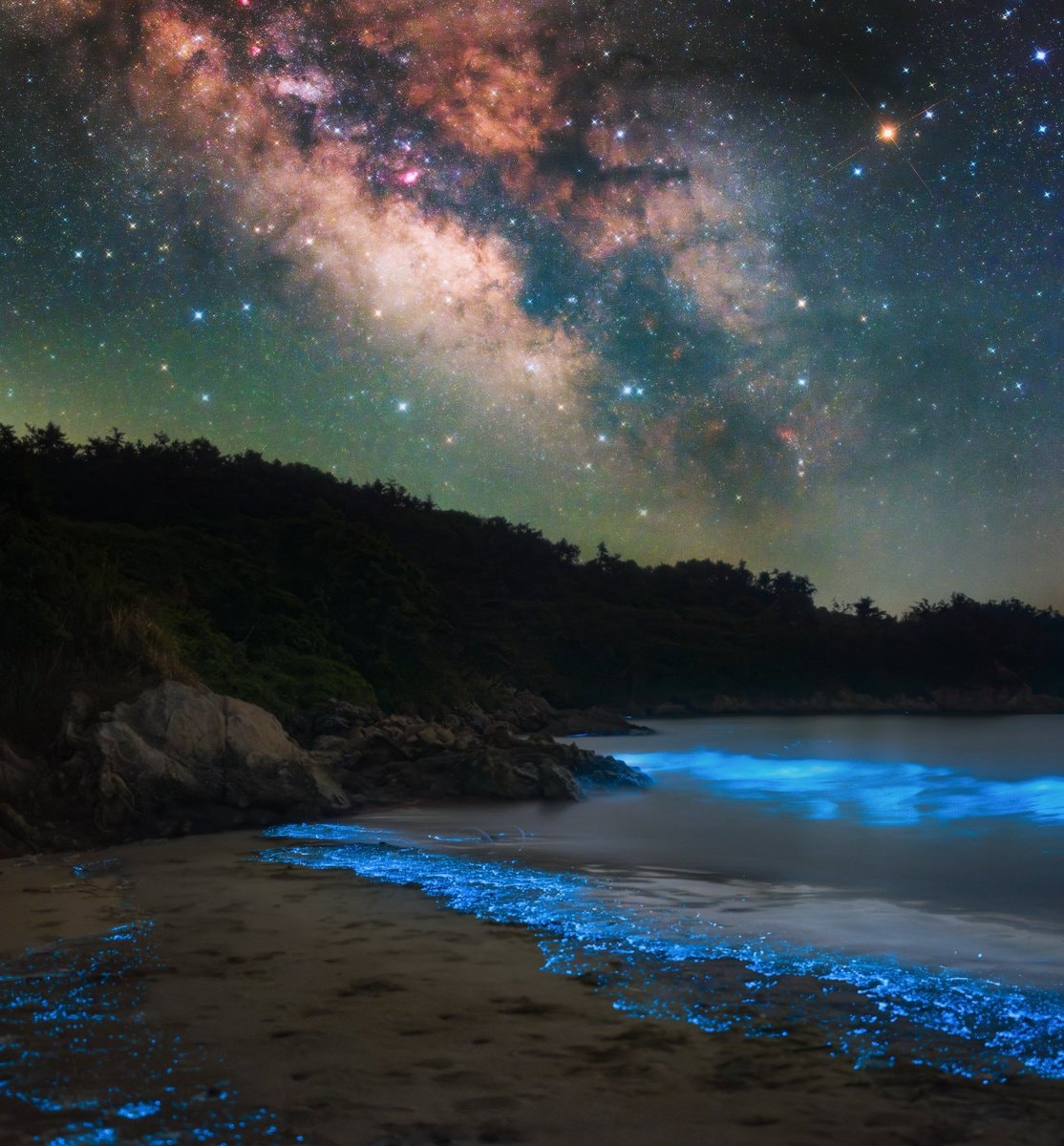 Bioluminescent beach at night (photo 2 of 4)