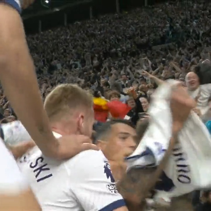Tottenham celebrate Spurs win at stadium