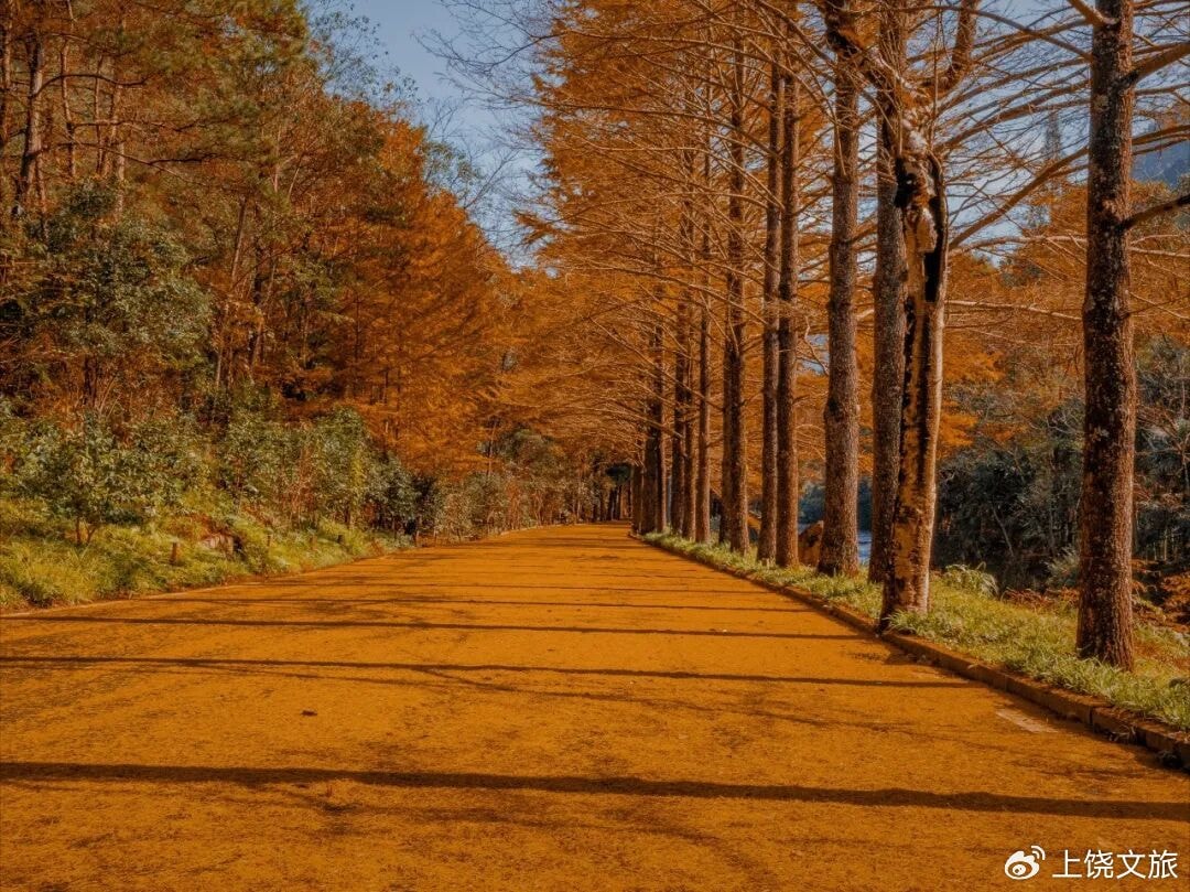 Shangrao Jiangxi autumn trip (photo 3 of 4) Shangrao Jiangxi autumn trip (photo 3 of 4)