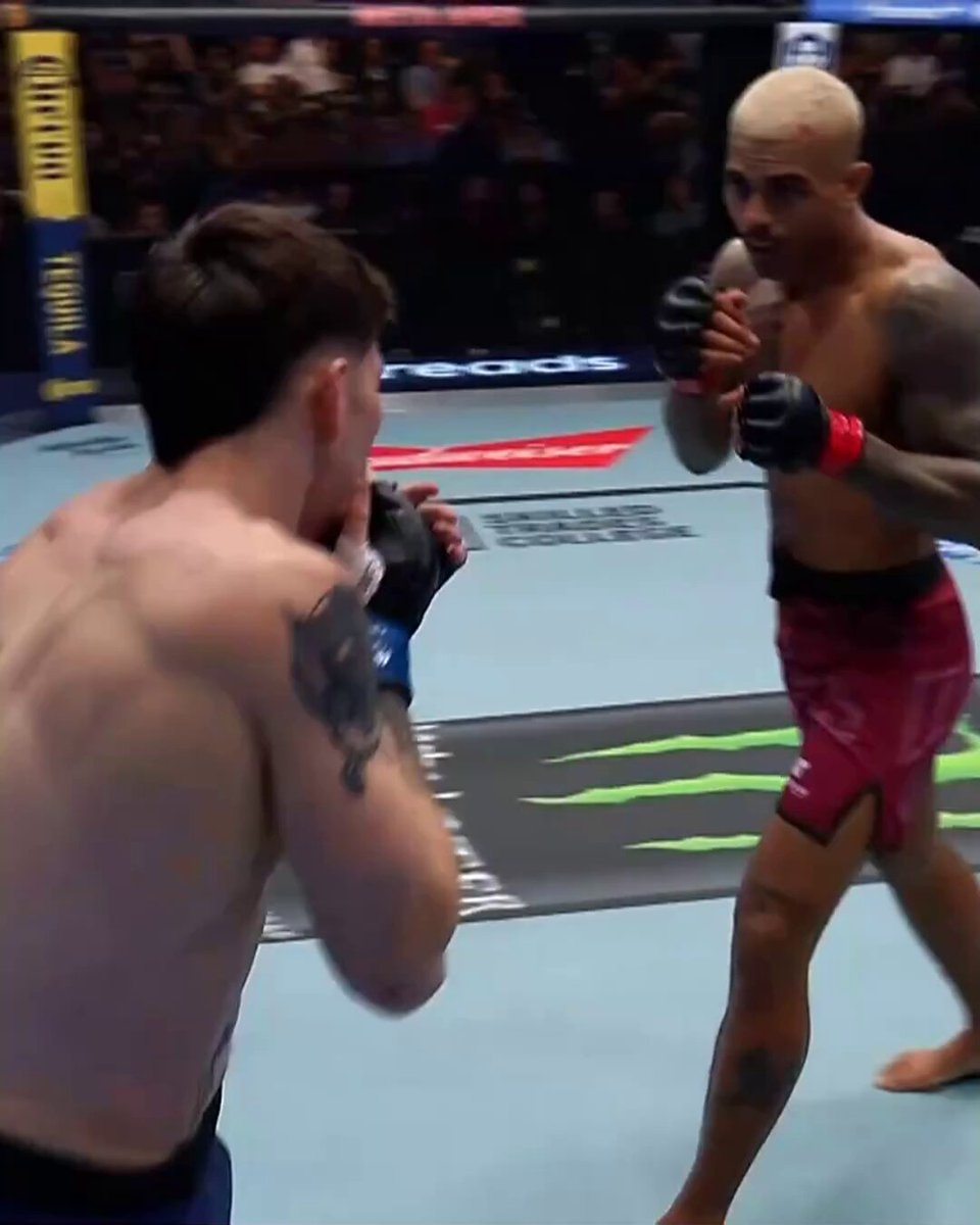 Sal Everett wins DWCS fight Sal Everett wins DWCS fight