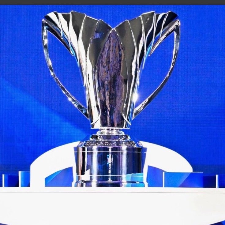 Cristiano Ronaldo AFC 2 Final Celebration (photo 2 of 2)