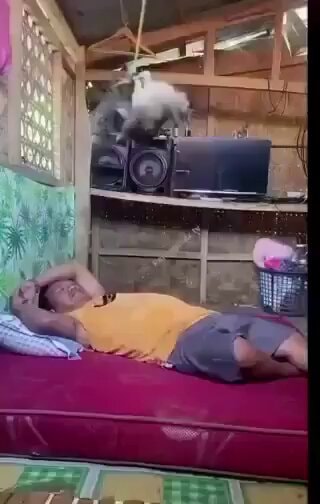 guy stammering at cat on speakers