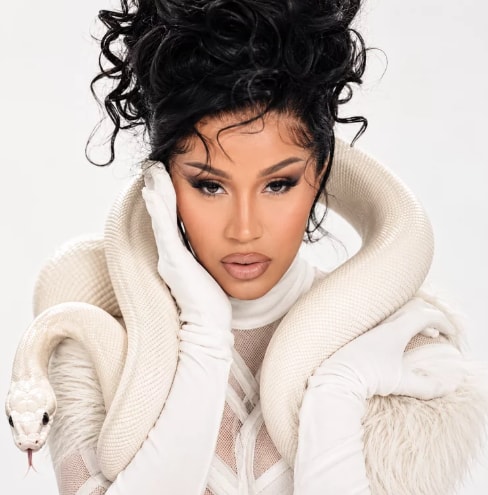 Cardi B 2027 Grammys submissions (photo 2 of 2)