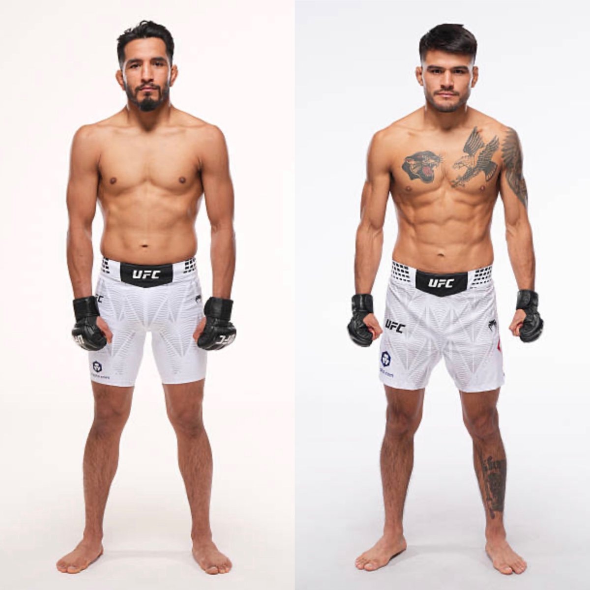 Adrian Yañez vs Juan Diaz UFC334 Adrian Yañez vs Juan Diaz UFC334