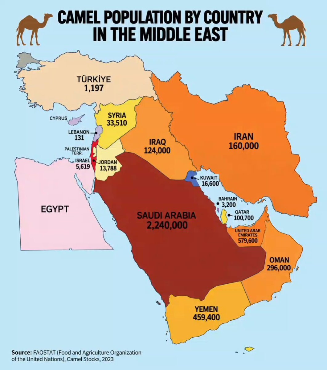 Camel Population By Country In The Middle East