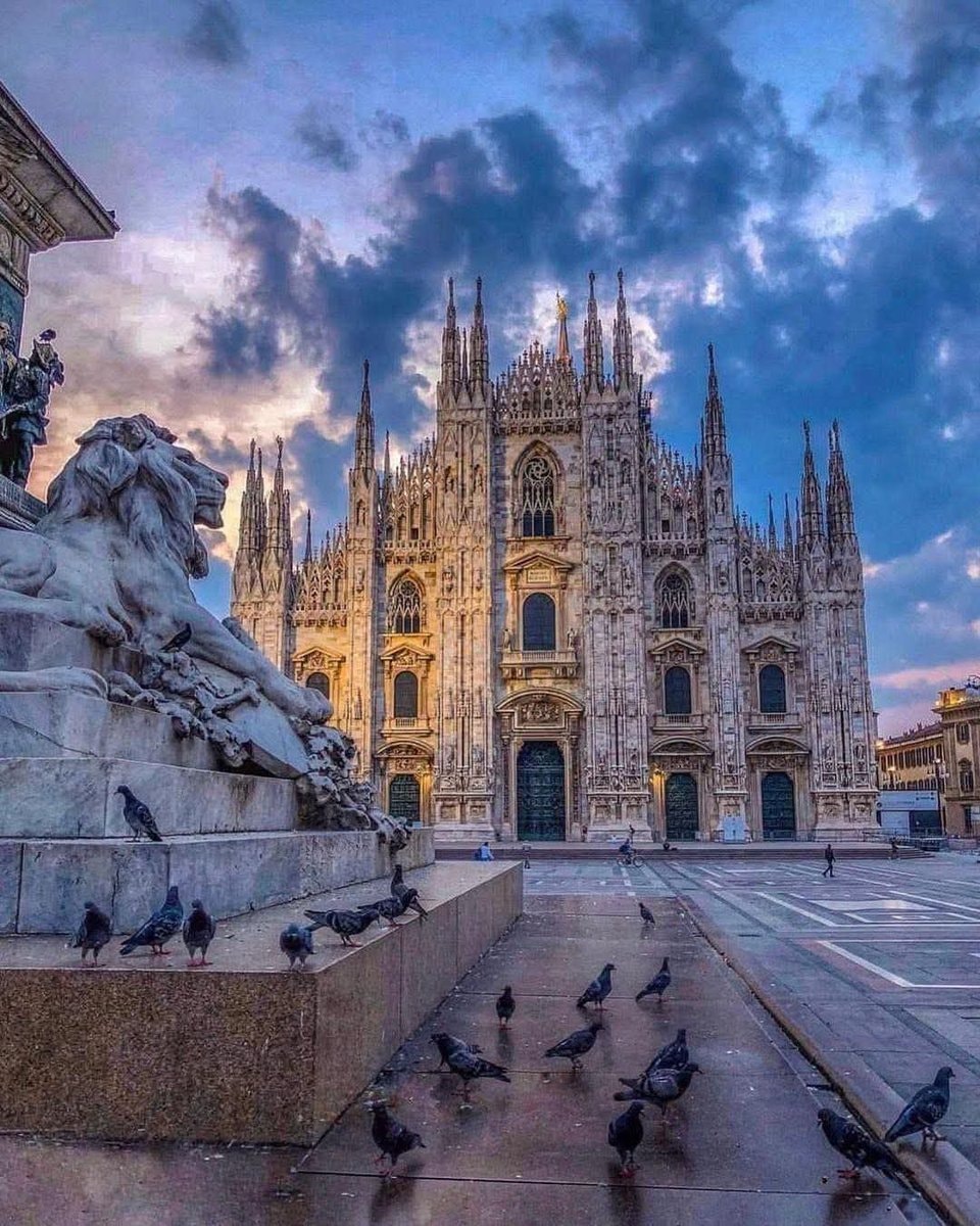 Milan Duomo and pigeons Milan Duomo and pigeons