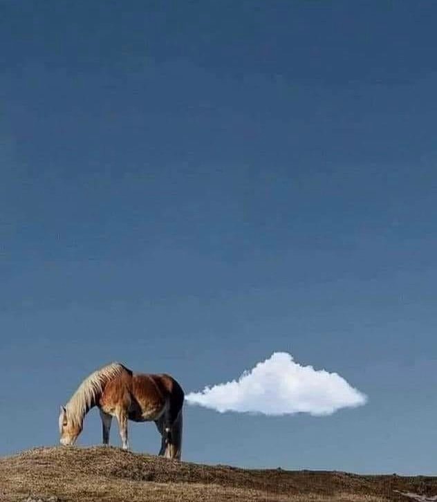 Horse fart cloud nature pic
