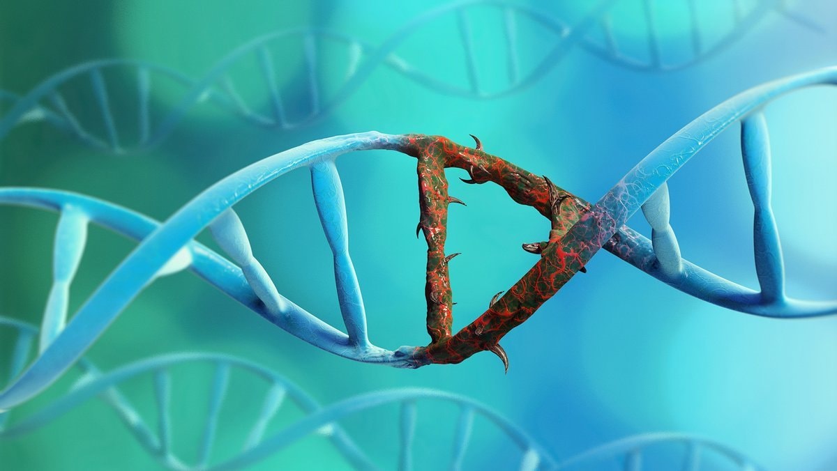 Bowhead Whales DNA repair protein (photo 2 of 2)