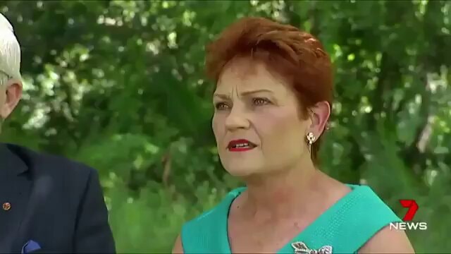 Pauline Hanson Islam disease quote