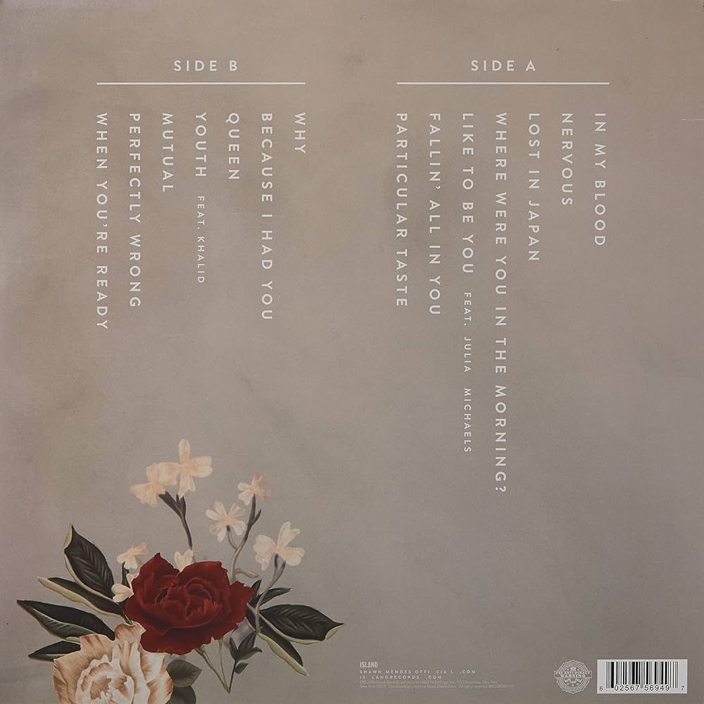 Shawn Mendes self-titled album (photo 2 of 2)