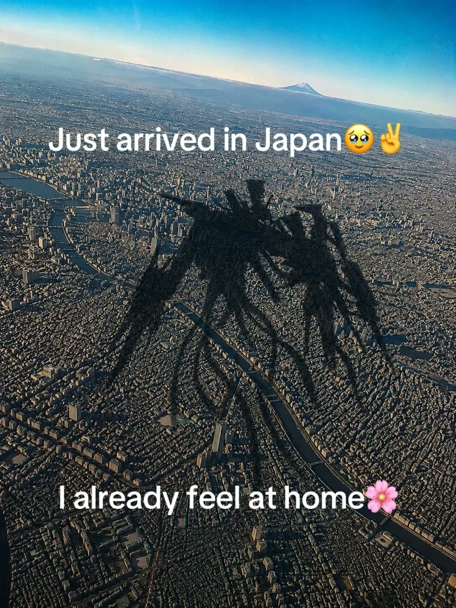 Japan arrival with robot shadow