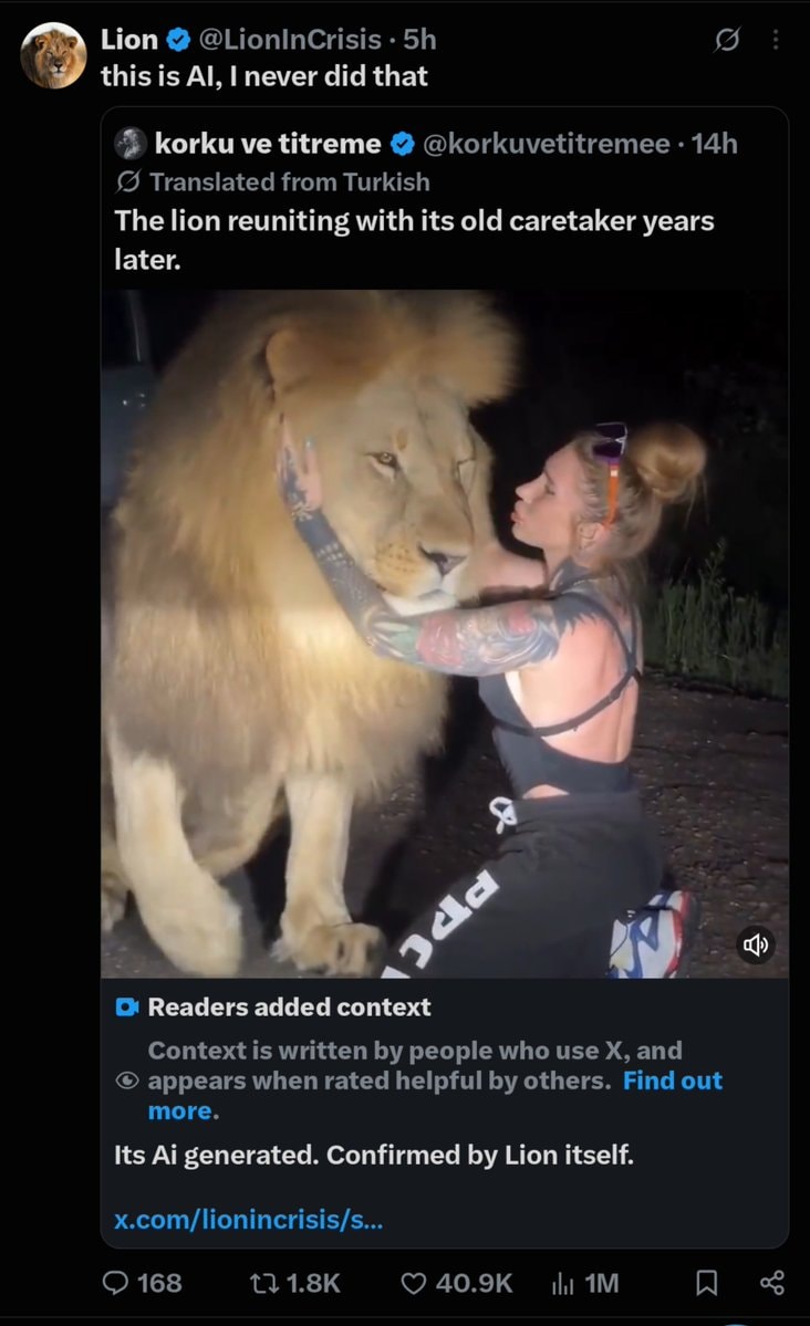 Lion reunion AI generated Lion reunion AI generated