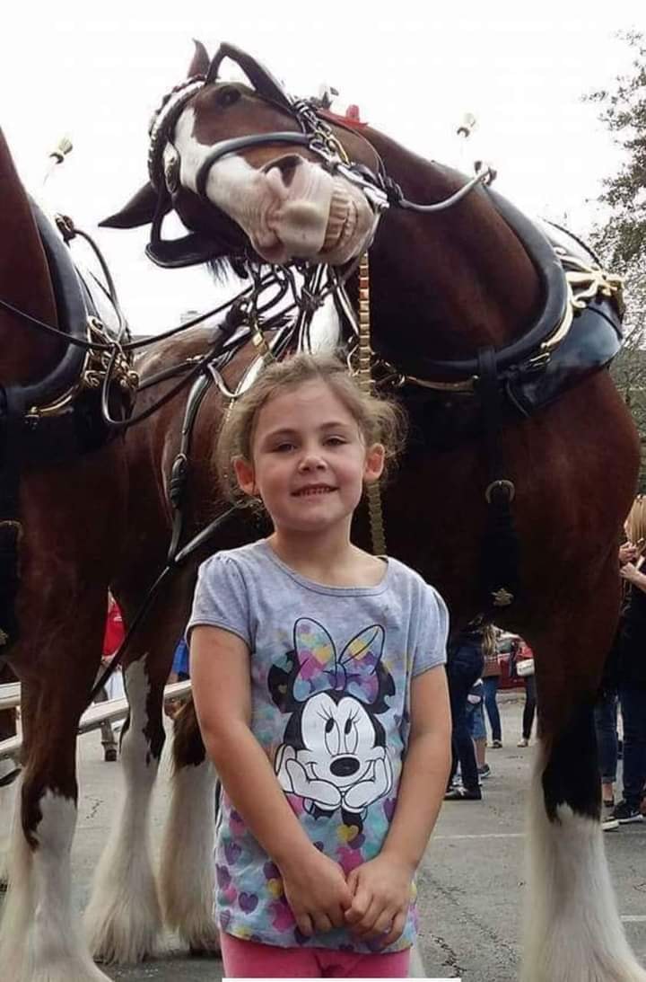 girl and horse cute moment