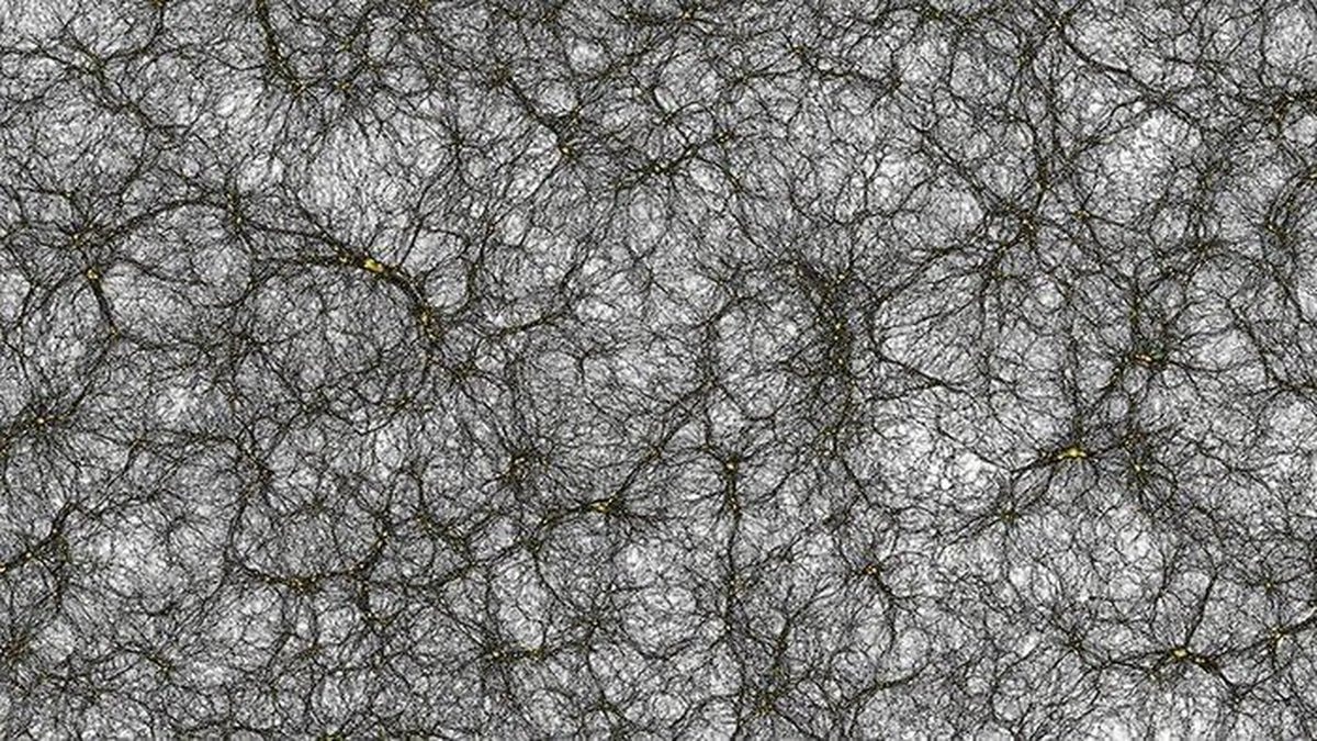 James Peebles on dark matter (photo 2 of 2)
