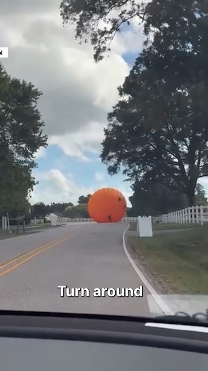 Inflatable pumpkin North Carolina