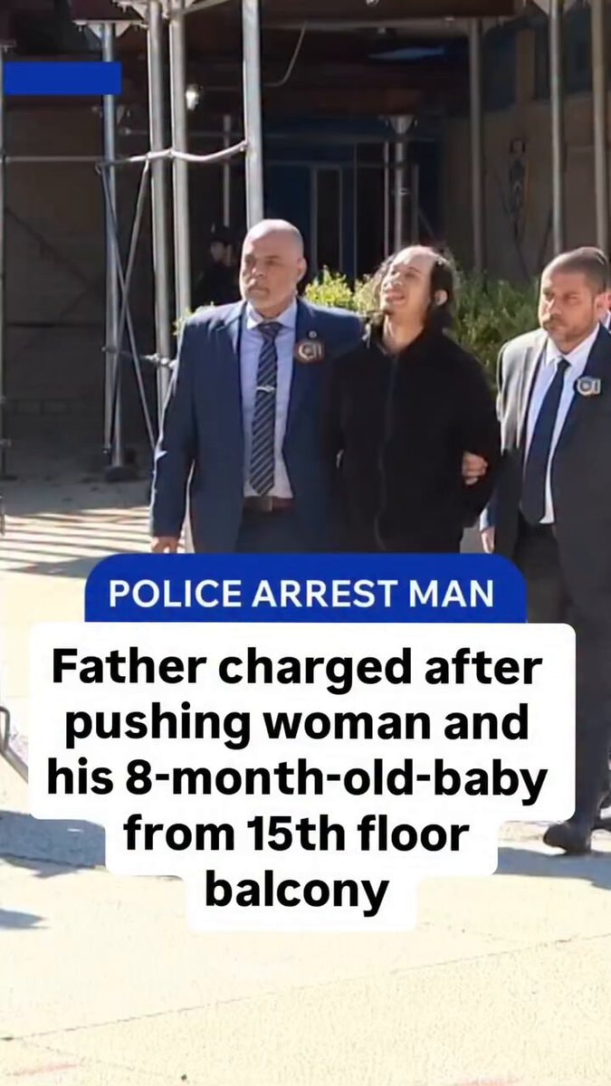Nathaly Ramirez Bronx balcony arrest
