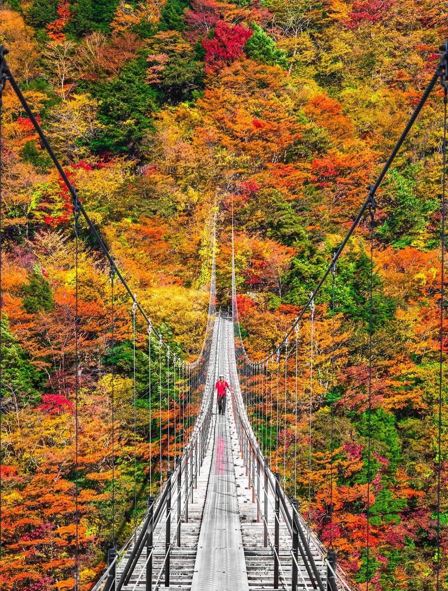 fall in japan