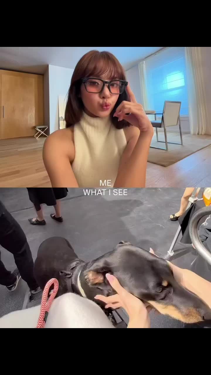 MetaGlassesbyLISA dog moment