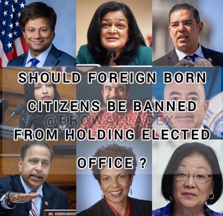 Foreign born ban from Congress poll