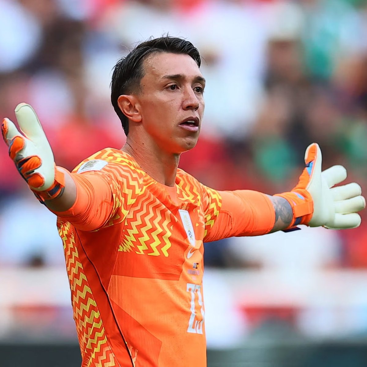 Marcelo Bielsa Muslera substitution (photo 2 of 2)