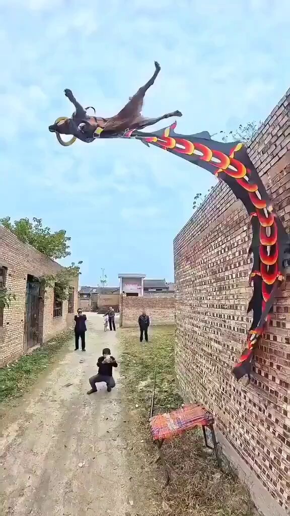 Phoenix kite soaring over alley