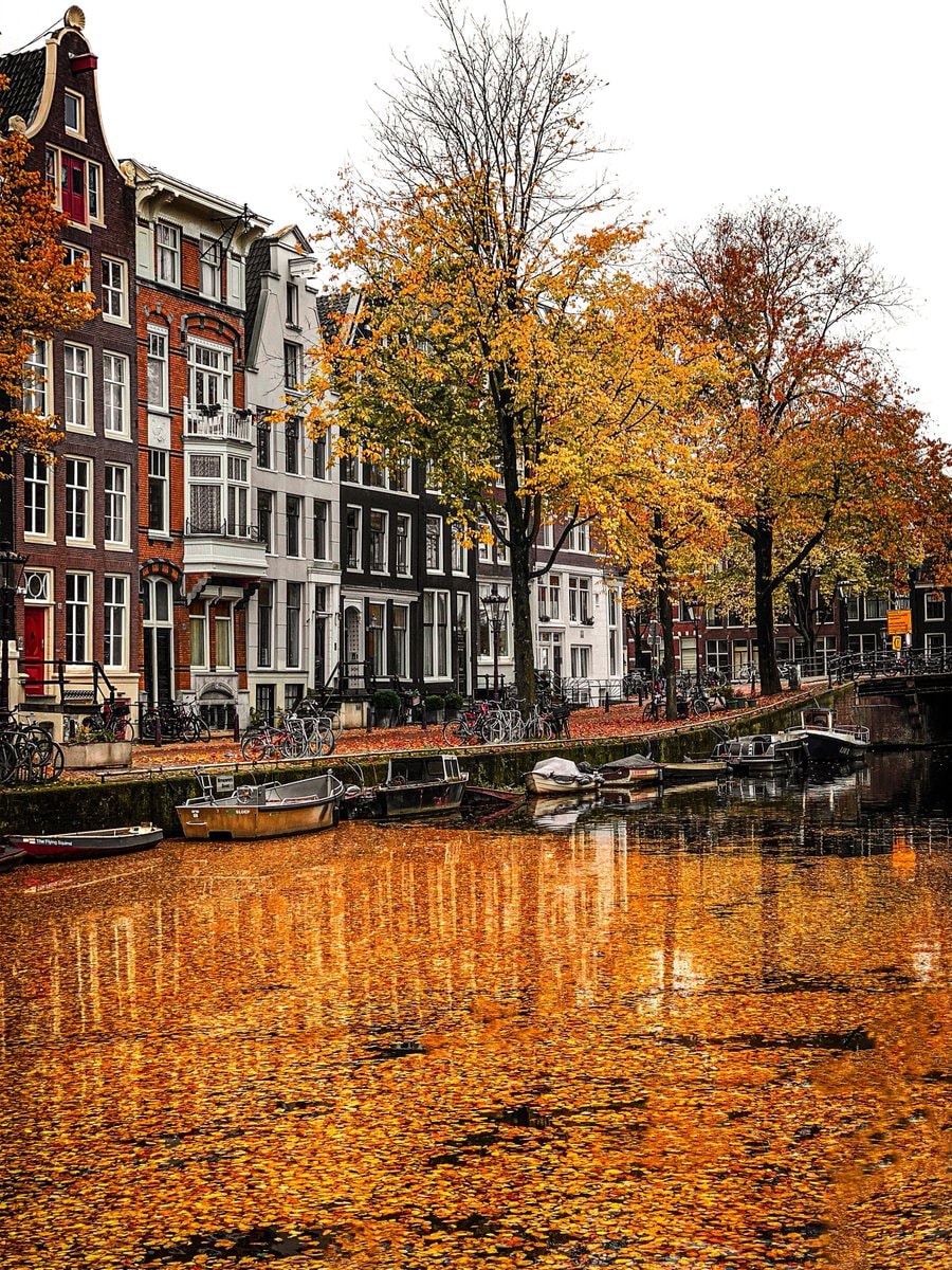 Amsterdam autumn Netherlands (photo 2 of 4)