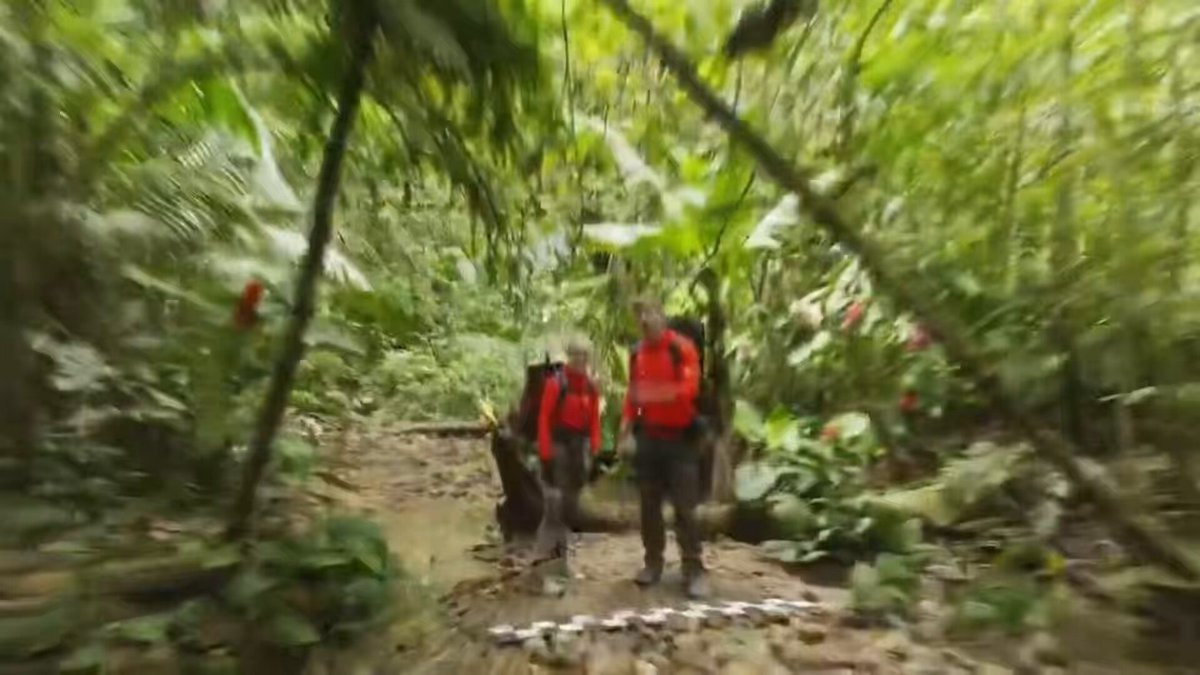 MrBeast jungle desert Antarctica race for moms $100,000 MrBeast jungle desert Antarctica race for moms $100,000