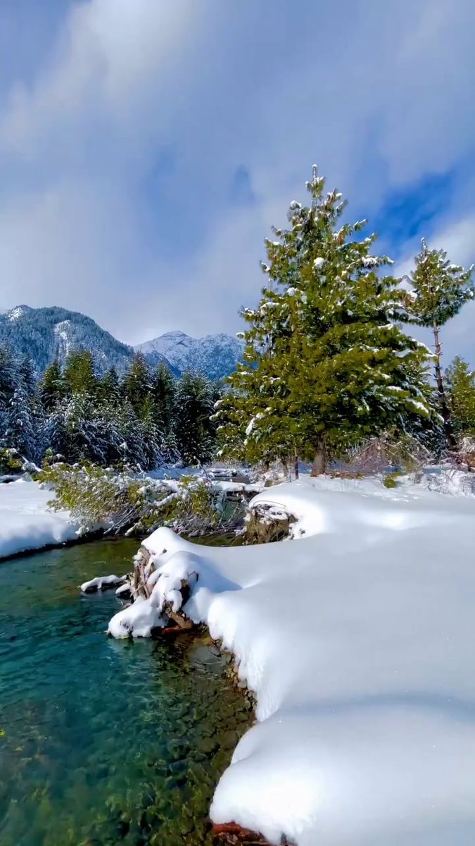 winter landscape