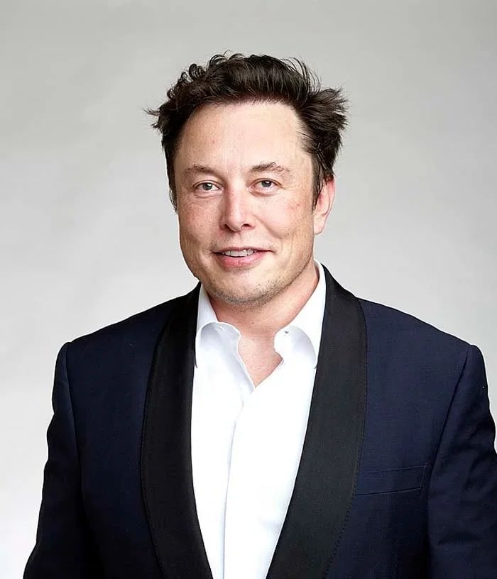 Elon Musk on GTA 6 and GTA 5 (photo 1 of 2)